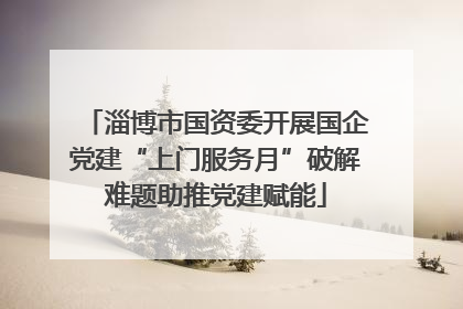 淄博市国资委开展国企党建“上门服务月”破解难题助推党建赋能